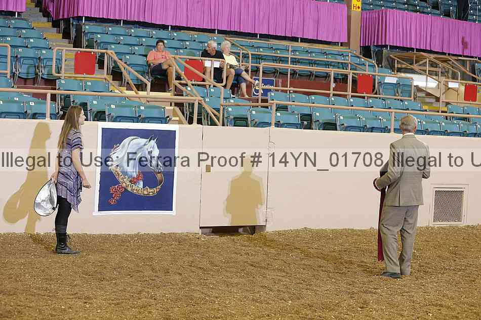 Proof 14yn_01708