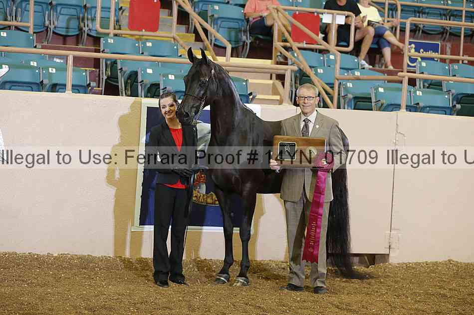 Proof 14yn_01709