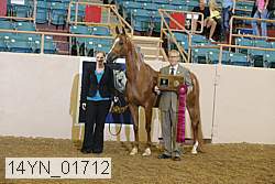 14yn_01712 proof