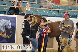 14yn_01729 proof