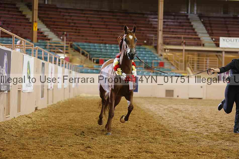 Proof 14yn_01751