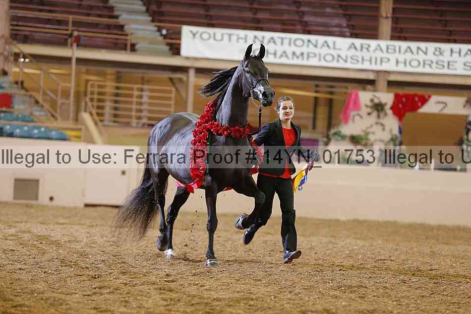 Proof 14yn_01753