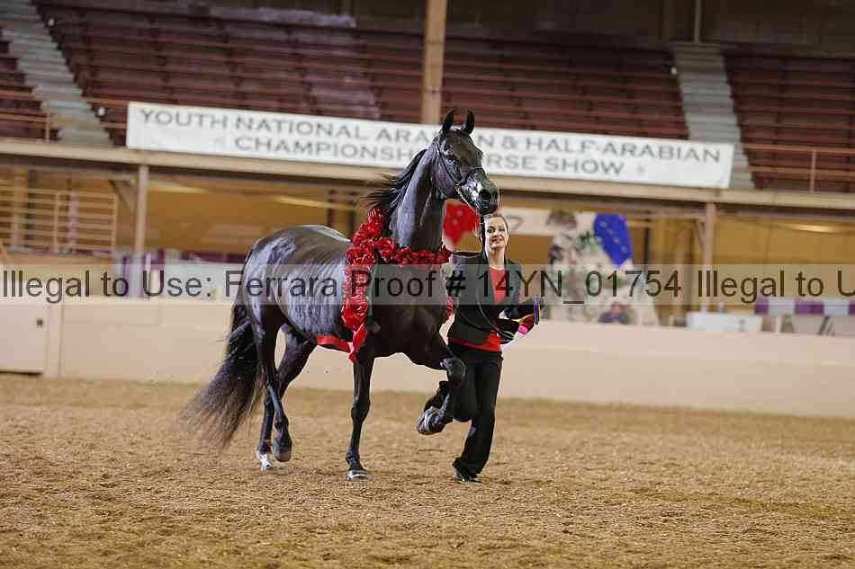 Proof 14yn_01754