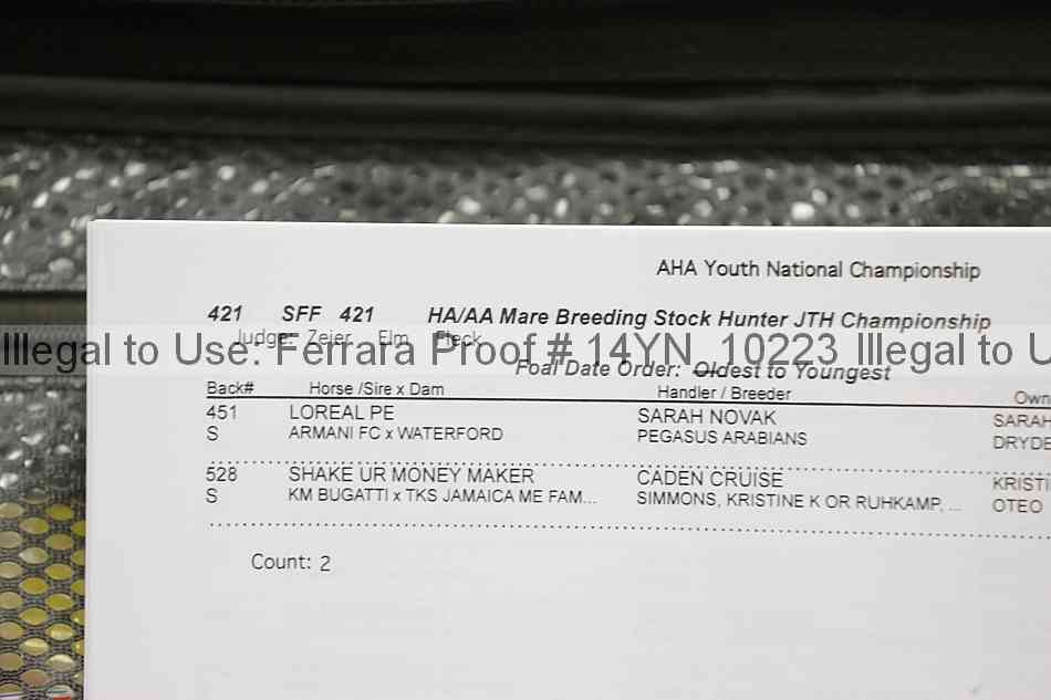 Proof 14yn_10223