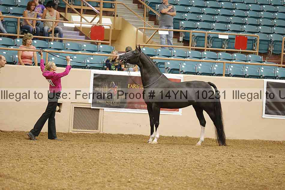 Proof 14yn_10231