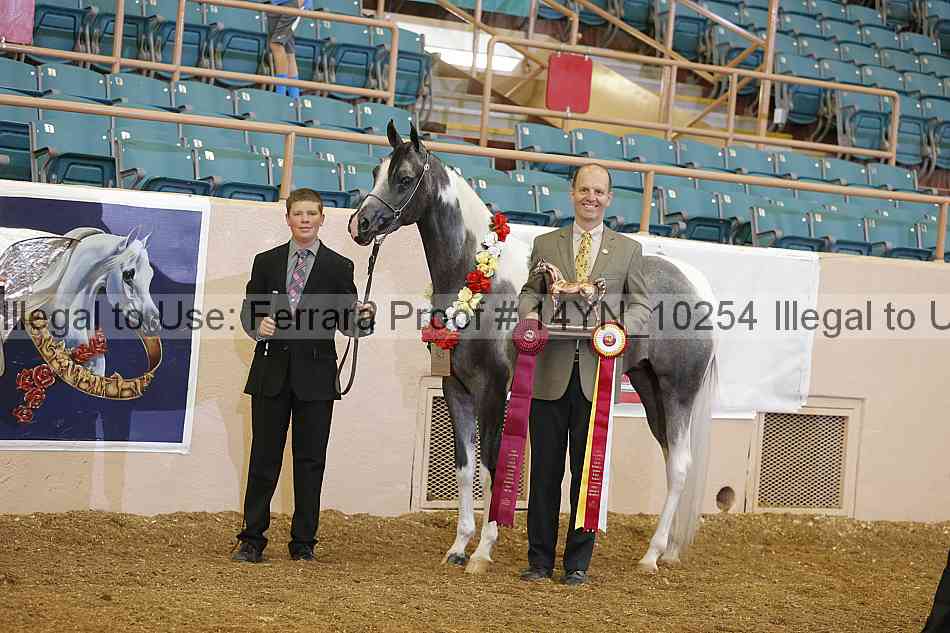 Proof 14yn_10254