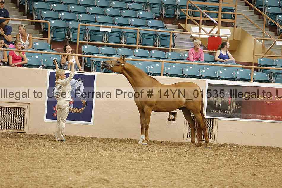 Proof 14yn_01535