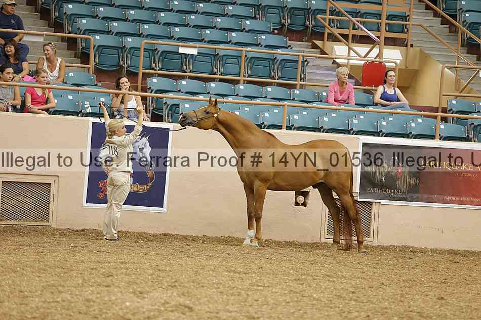 Proof 14yn_01536