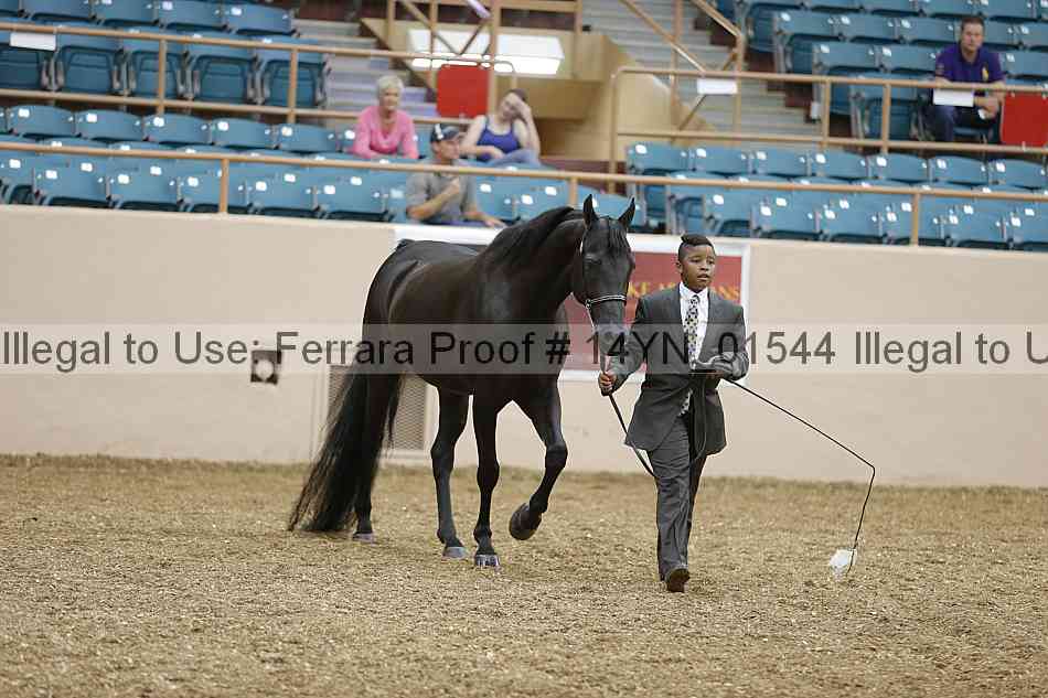 Proof 14yn_01544