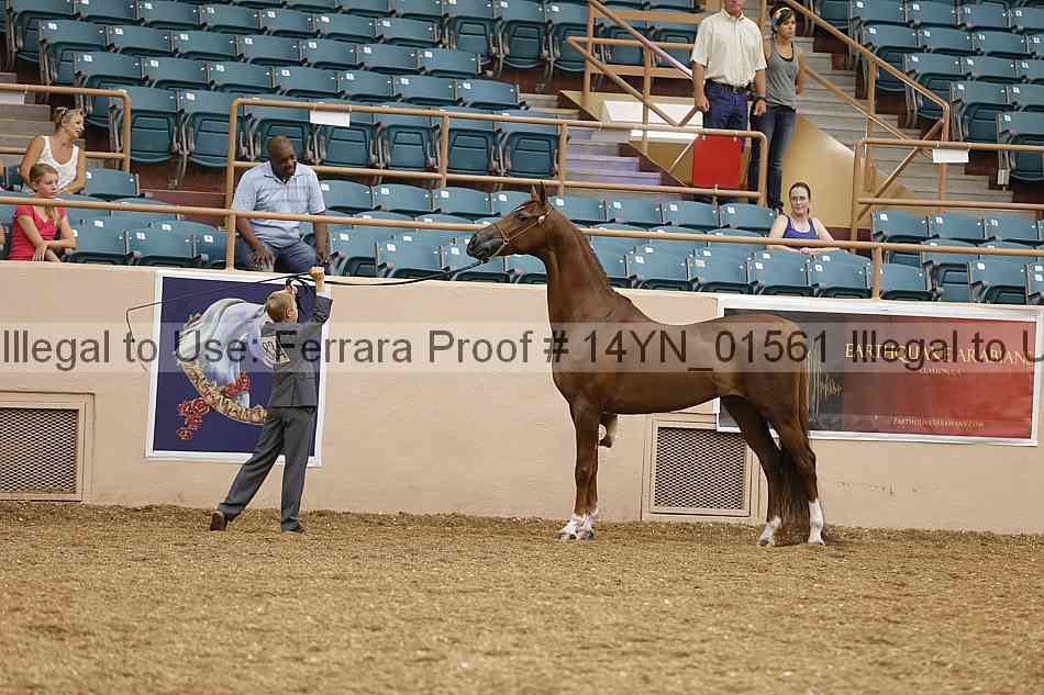 Proof 14yn_01561