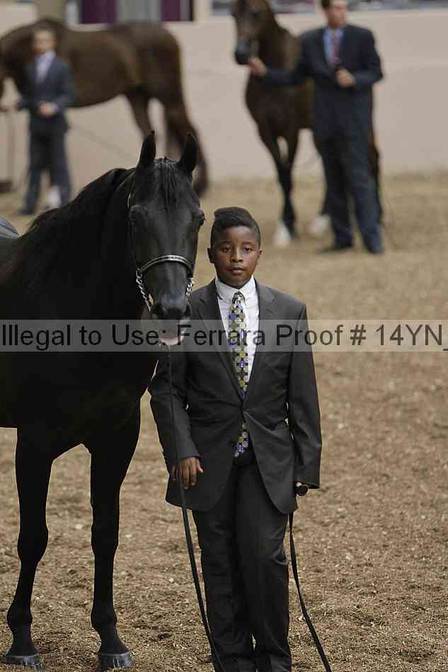 Proof 14yn_01577