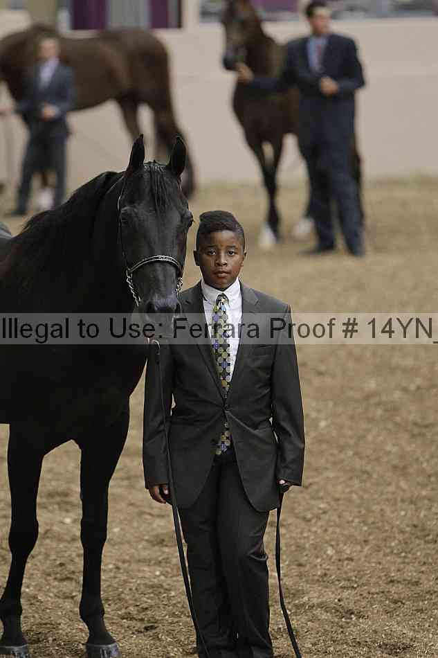 Proof 14yn_01578