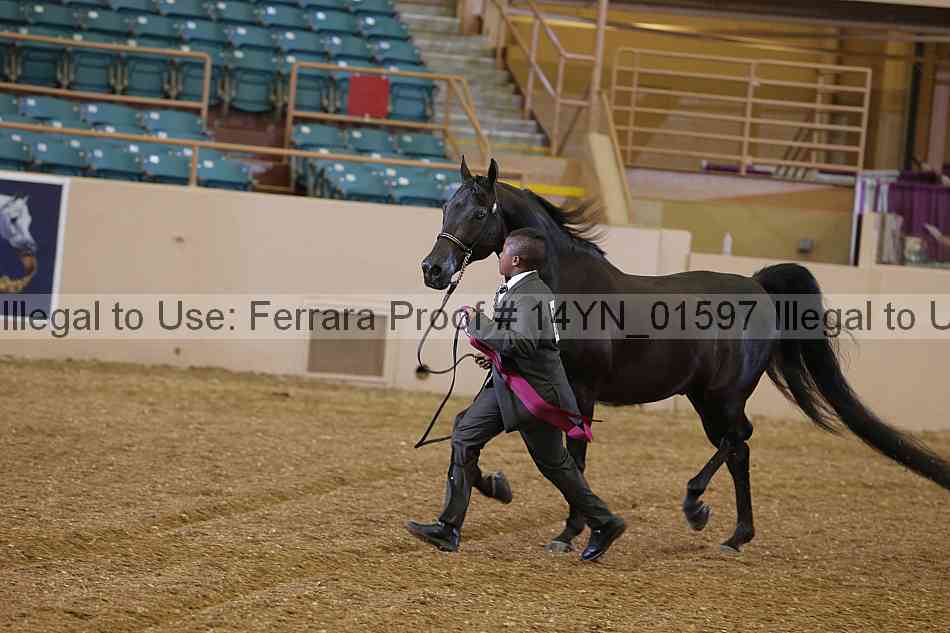 Proof 14yn_01597