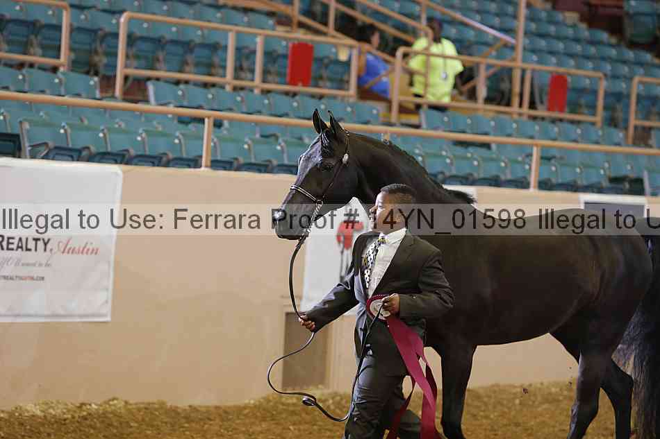 Proof 14yn_01598