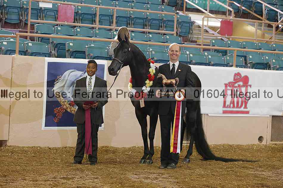 Proof 14yn_01604