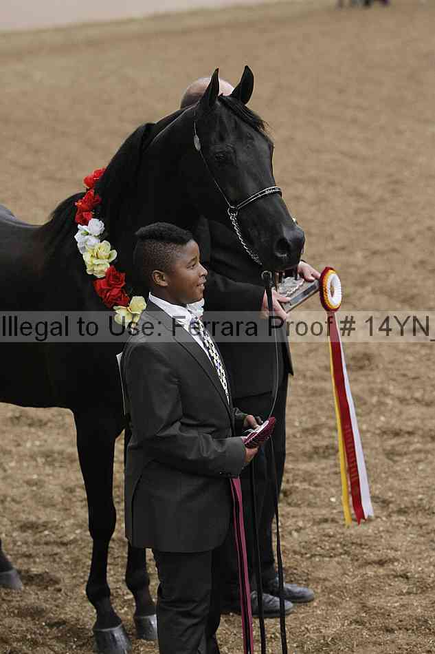 Proof 14yn_01606