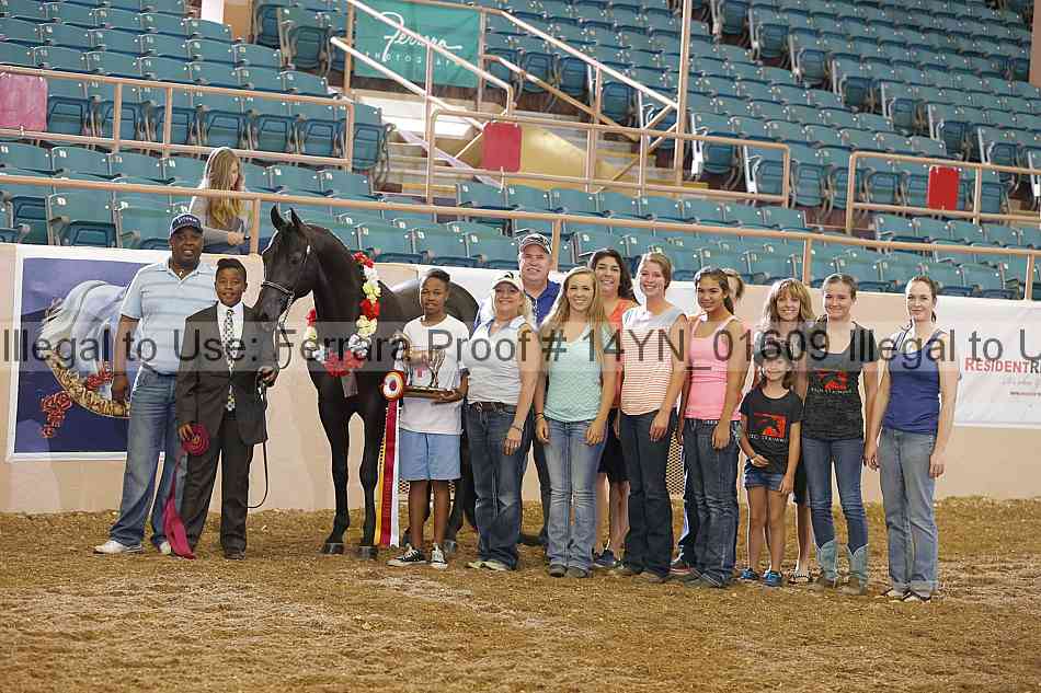 Proof 14yn_01609