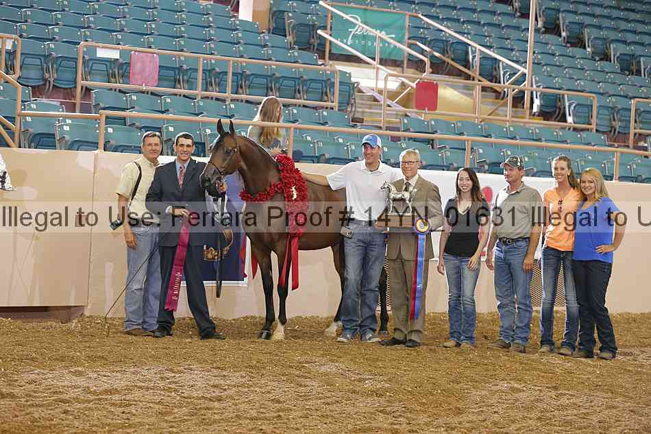 Proof 14yn_01631