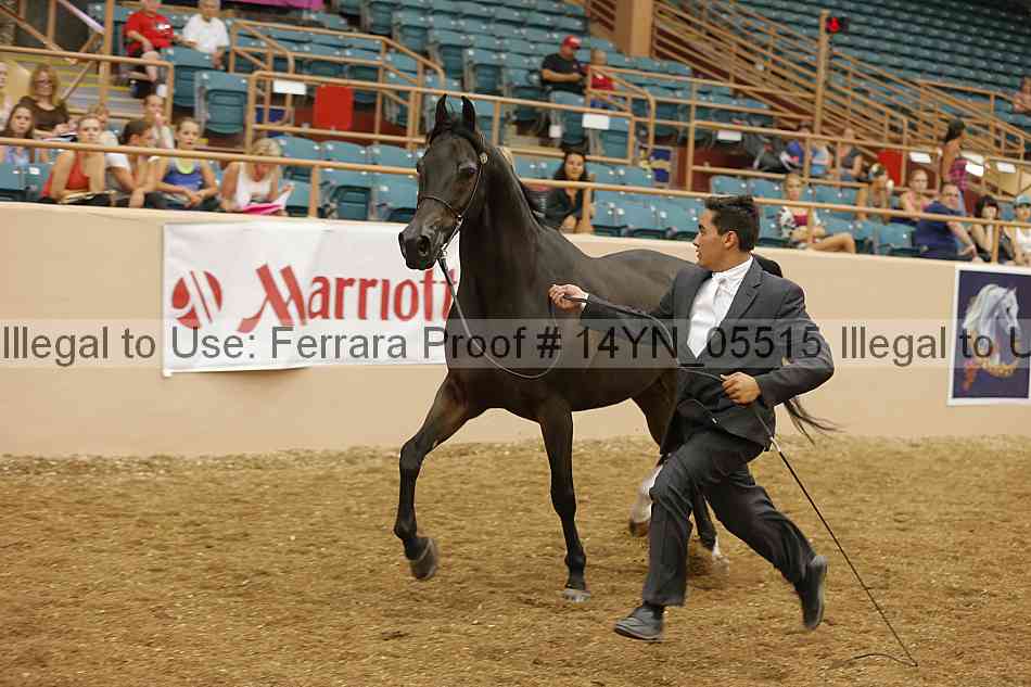 Proof 14yn_05515