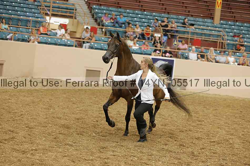 Proof 14yn_05517