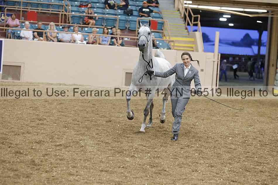Proof 14yn_05519