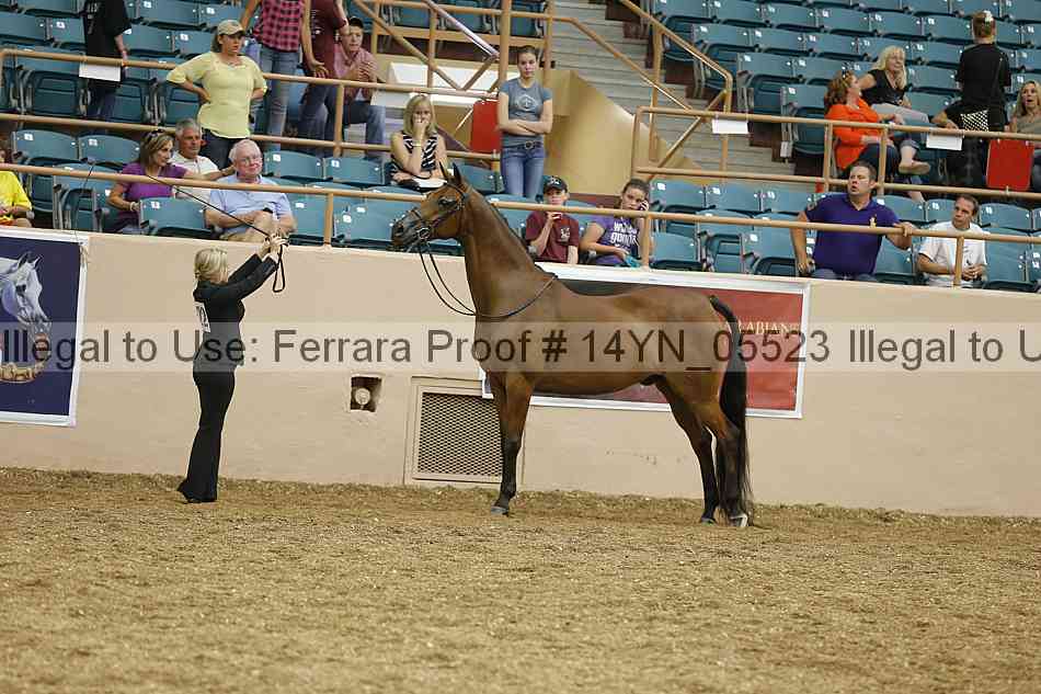 Proof 14yn_05523