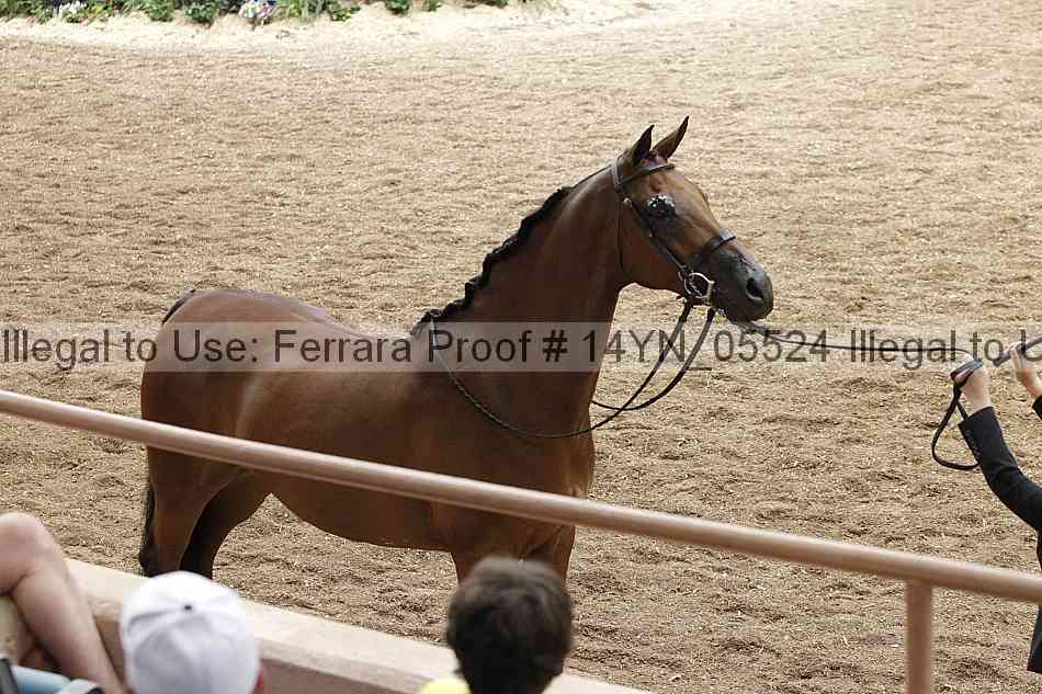 Proof 14yn_05524