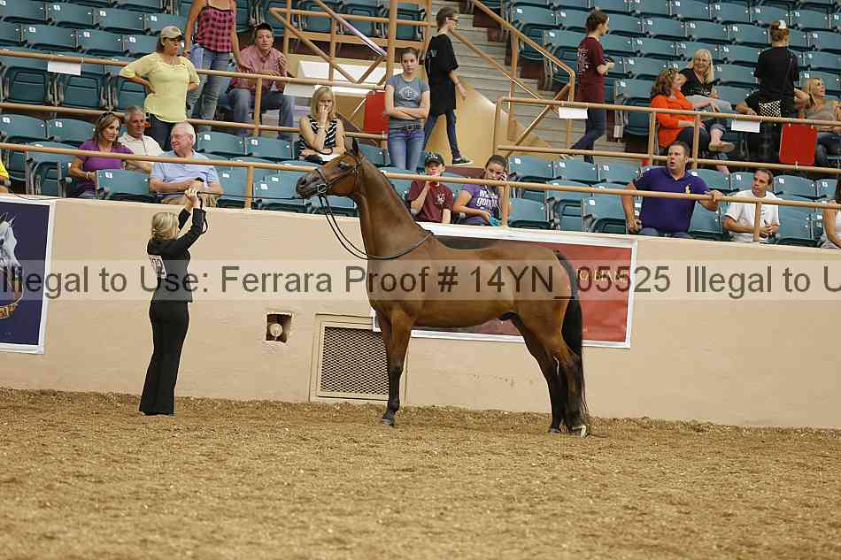 Proof 14yn_05525