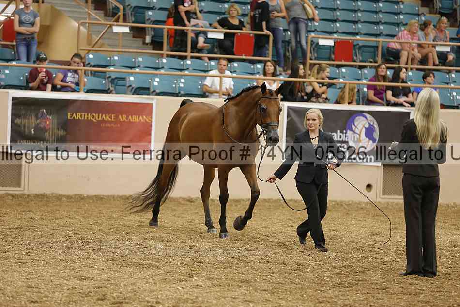 Proof 14yn_05526
