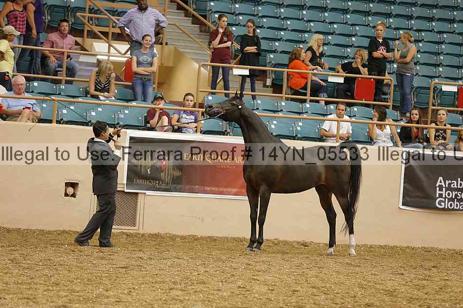 Proof 14yn_05533