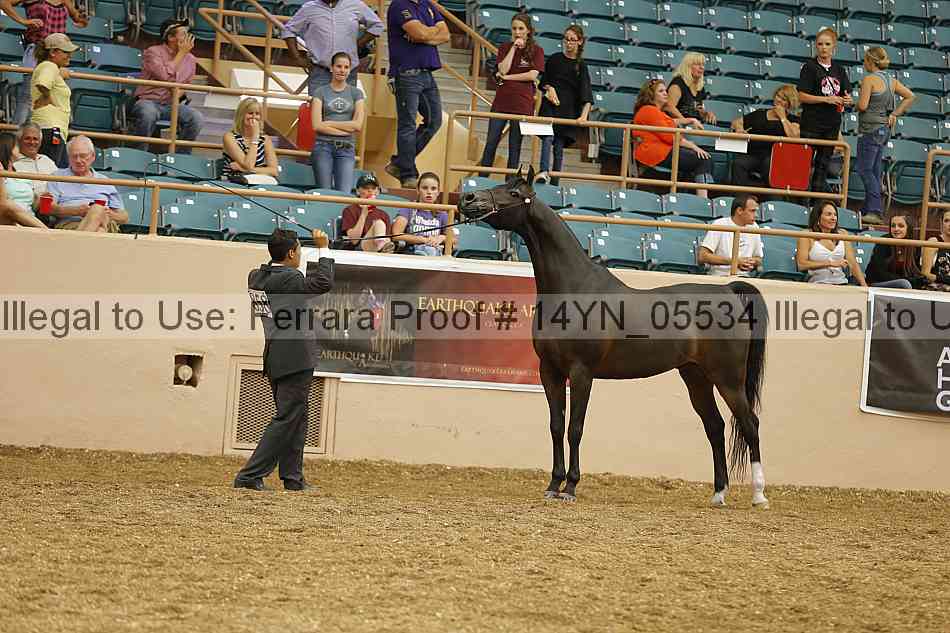 Proof 14yn_05534