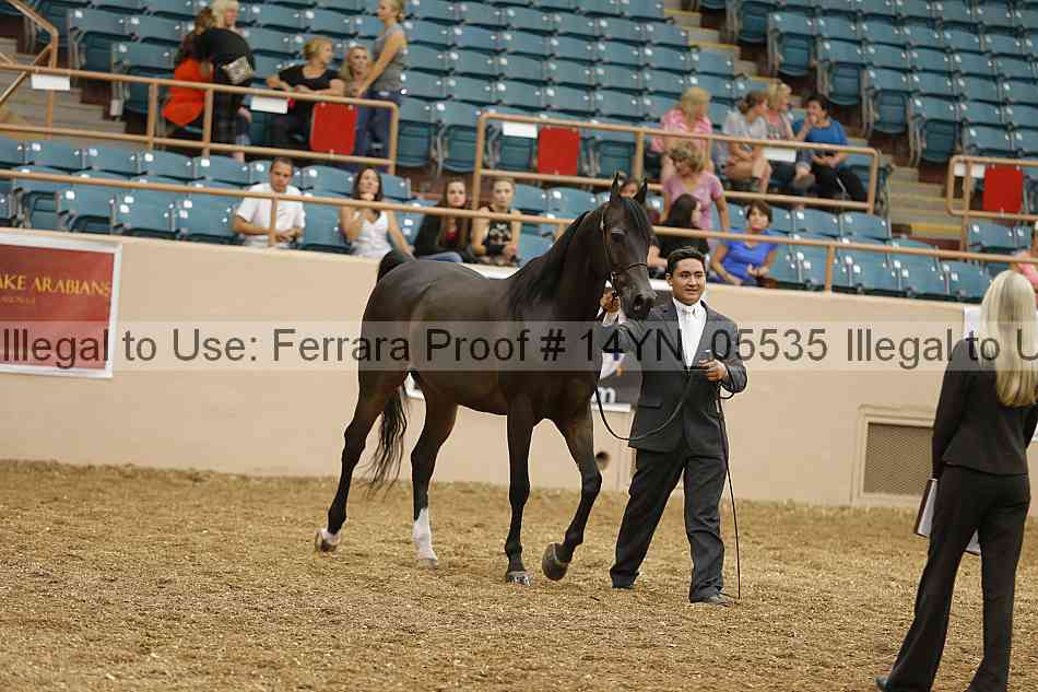 Proof 14yn_05535