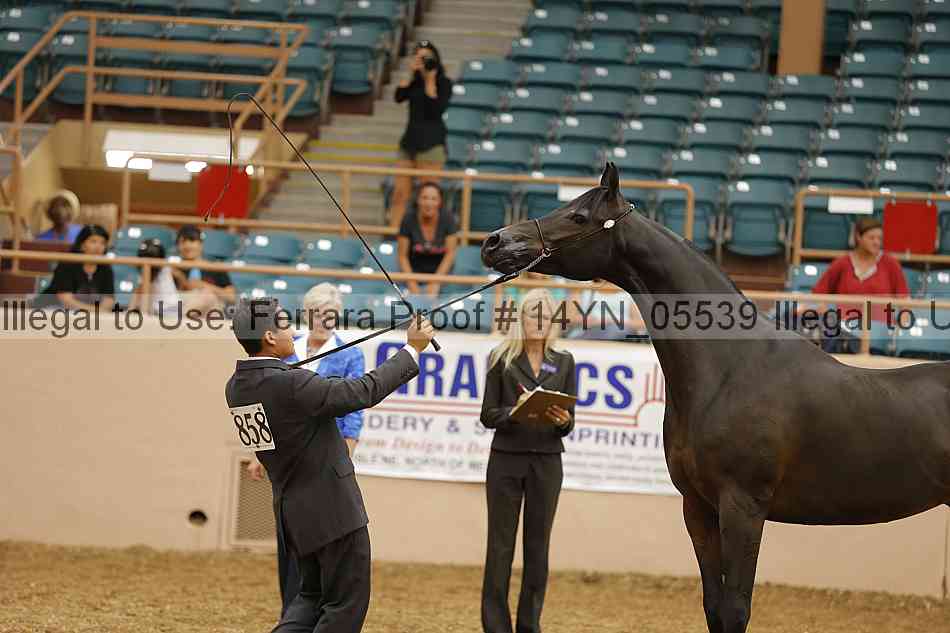 Proof 14yn_05539