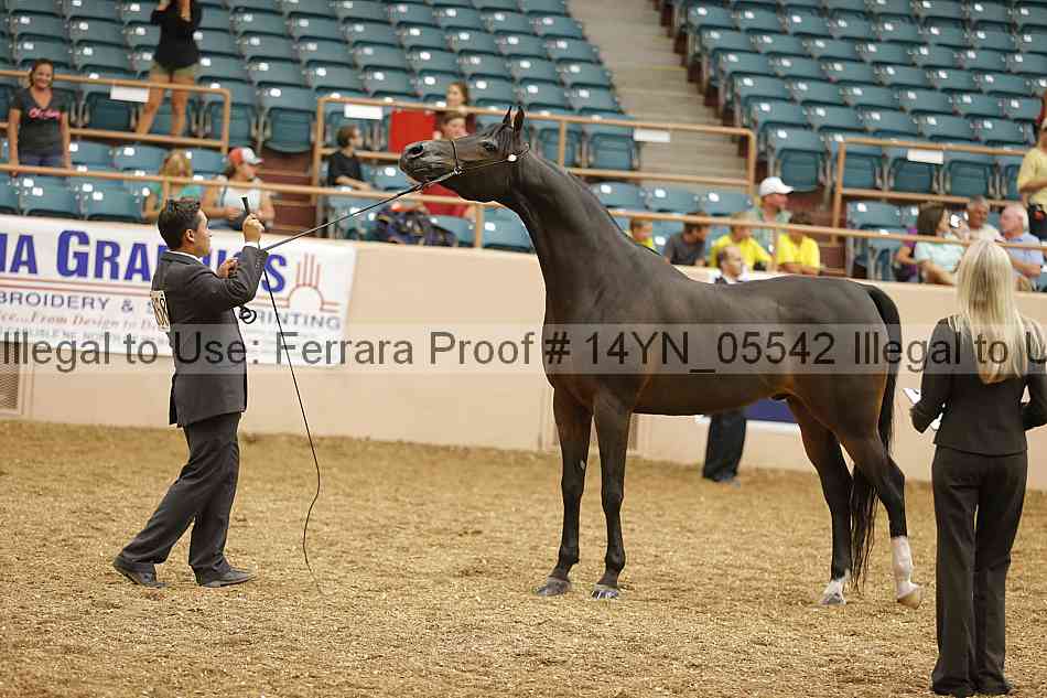 Proof 14yn_05542