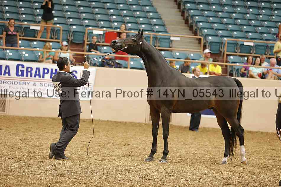 Proof 14yn_05543