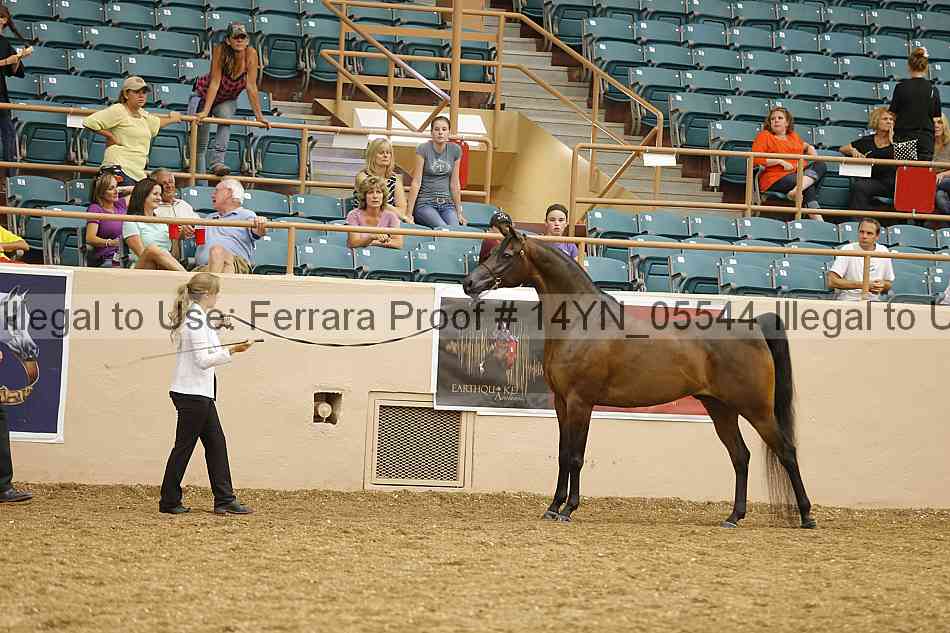 Proof 14yn_05544