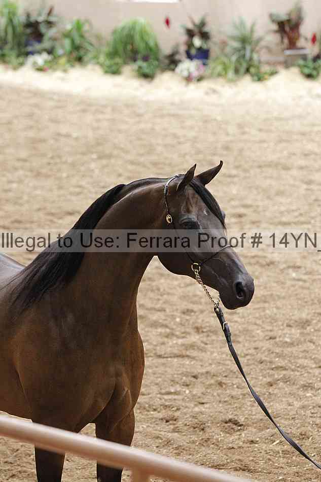 Proof 14yn_05546