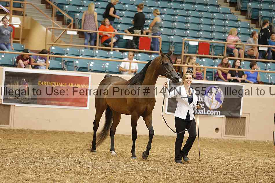 Proof 14yn_05547