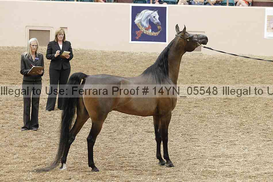 Proof 14yn_05548