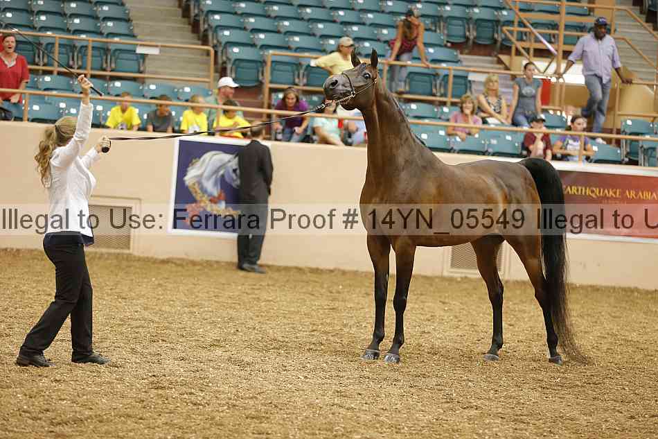 Proof 14yn_05549