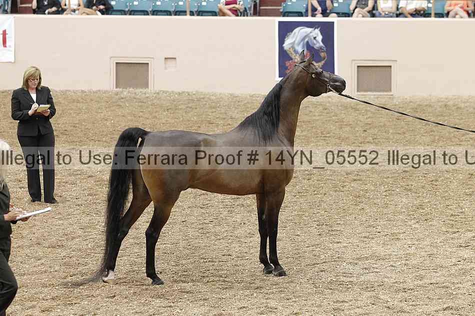 Proof 14yn_05552