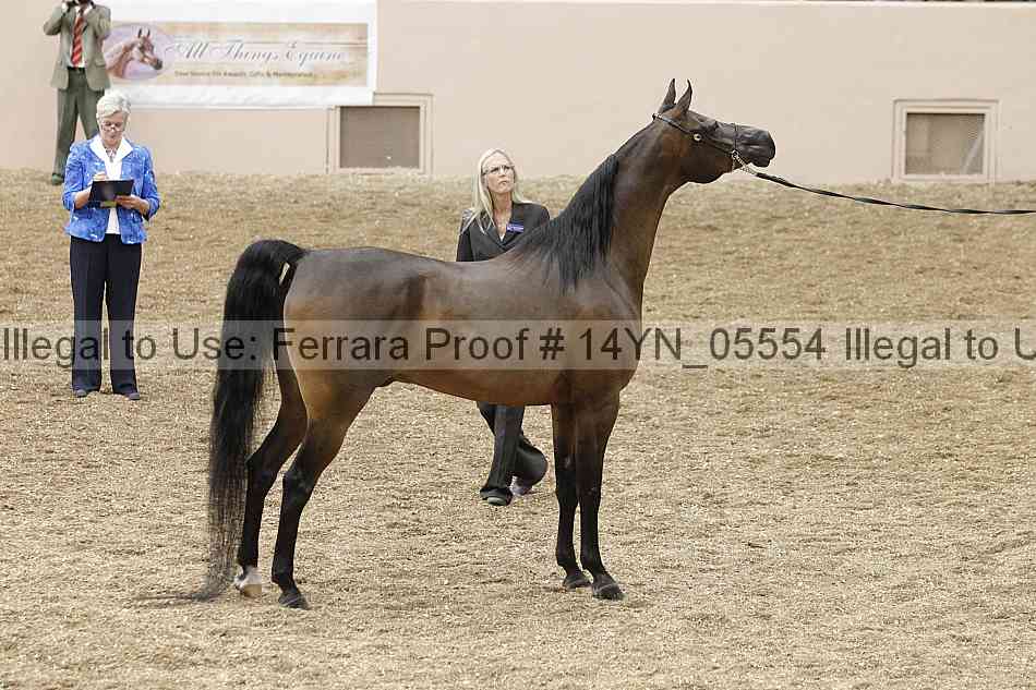 Proof 14yn_05554