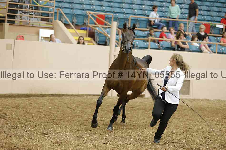 Proof 14yn_05555