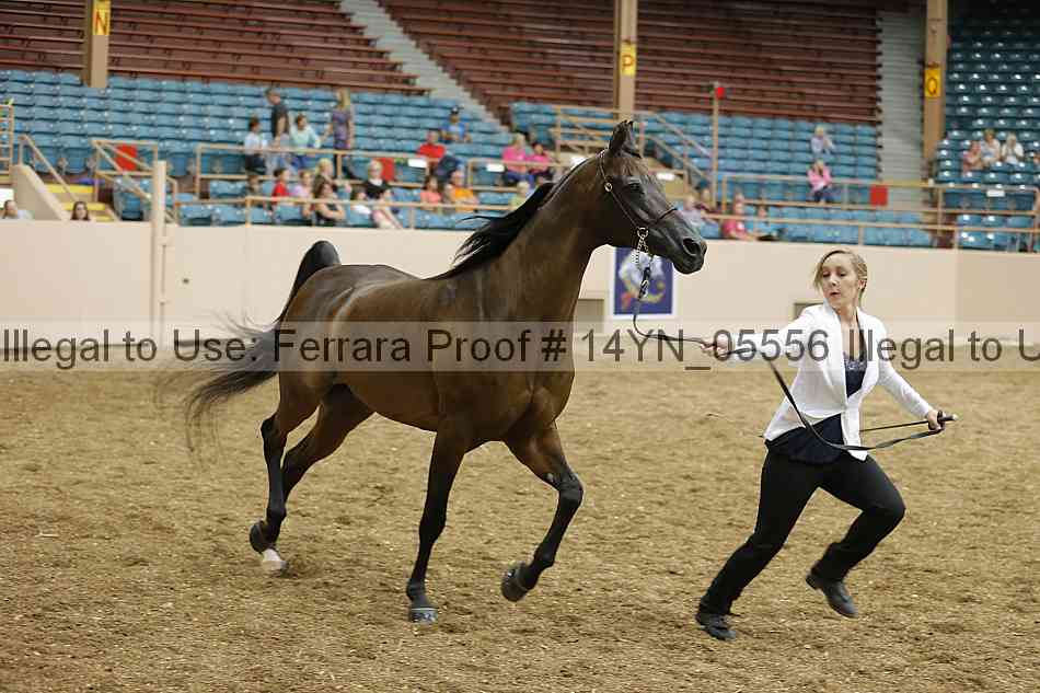 Proof 14yn_05556