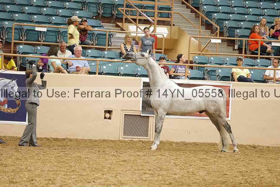 Proof 14yn_05558
