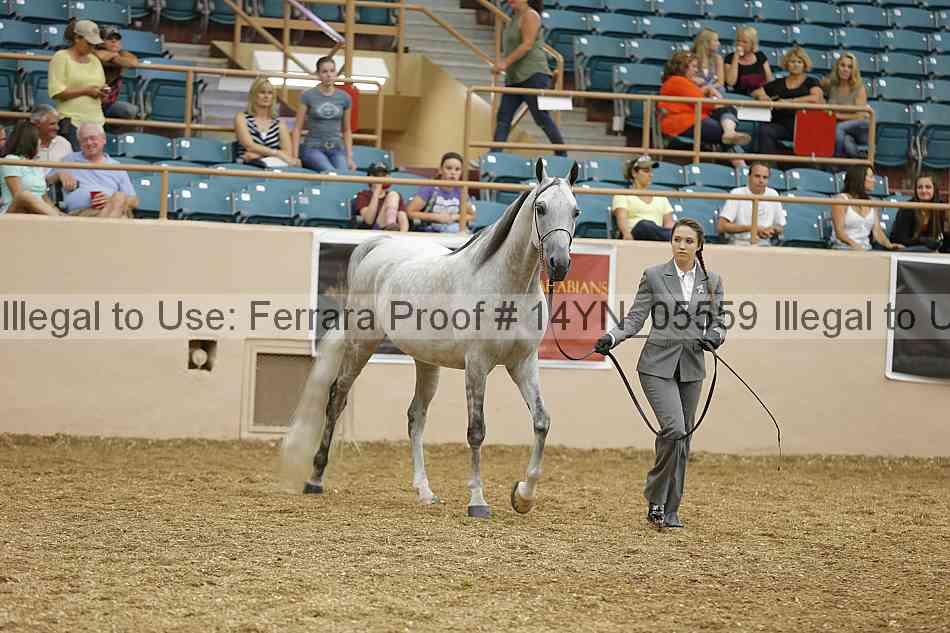 Proof 14yn_05559
