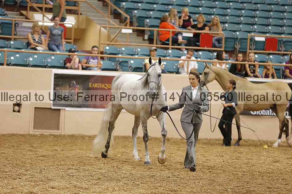 Proof 14yn_05560