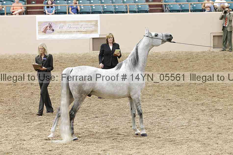 Proof 14yn_05561