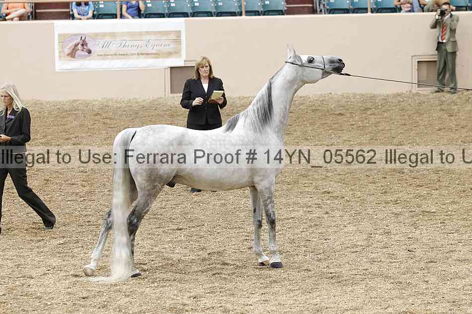 Proof 14yn_05562