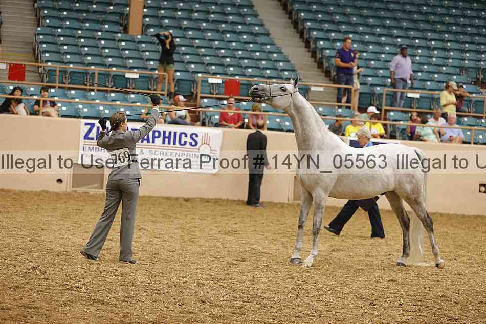 Proof 14yn_05563